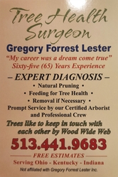Tree Health Surgeon logo