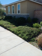 Antonio's Landscape Services - Unlicensed Contractor logo