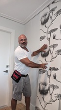 Avatar for DINIZ Wallpaper Installation LLC