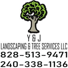 Avatar for Y & J Landscaping & Tree Services, LLC