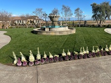 Avatar for New Cypress Creek Landscape