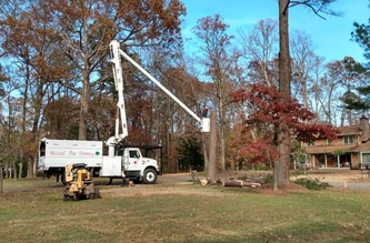 Blizzard Tree Trimming logo