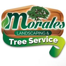 Avatar for MoralesTreeServiceLLC