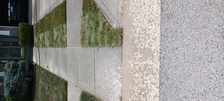 Gonzalez landscaping services LLC logo