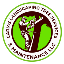 Logo for Carias Landscaping & Maintenance, LLC