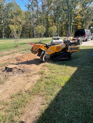 Down to Earth Stump Grinding logo