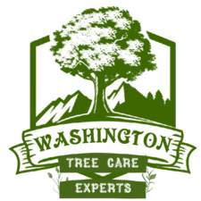 Avatar for Washington Tree Care Experts LLC