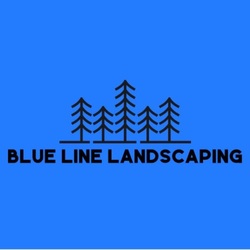 Blue Line Landscaping logo