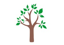 A2 Landscaping logo