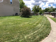Logo for Andrew's Lawn Care