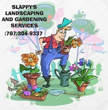 Avatar for Eduardo Landscaping and Gardening