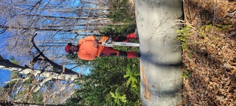 Cherokee Mountain Tree Service logo