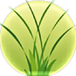 Top Seed Landscaping logo