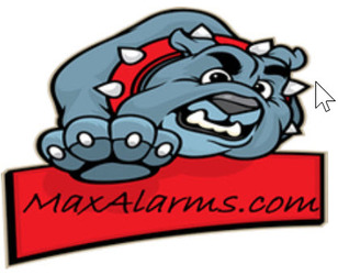 Maximus Security Services logo