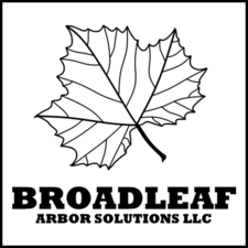 Avatar for Broadleaf Arbor Solutions LLC