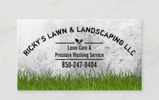 Avatar for Ammons Property Services LLC