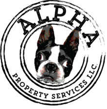 Avatar for Alpha Property Services