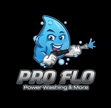 Logo for Pro Flo Power Washing & More