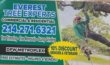 Everest Tree Experts logo