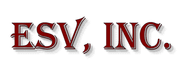 Executive Services of Virginia, Inc. logo