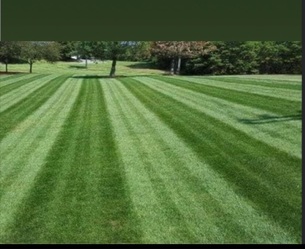 Martin's Landscaping logo