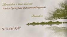 Logo for Brandons Tree Service