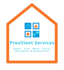 Logo for Prosilient Services, Inc.