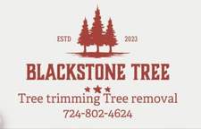 Logo for Blackstone Tree