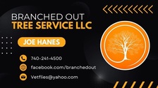 Avatar for Branched Out Tree Service LLC