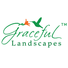 Avatar for The Graceful Landscapes