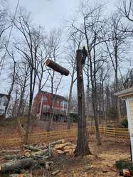 Same Day Tree & Landscape Service logo