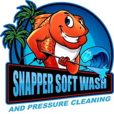 Logo for Snapper Soft Wash and Pressure Cleaning