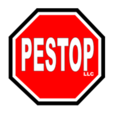 Avatar for Pestop