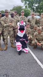 Pink Zebra Moving of Columbus logo