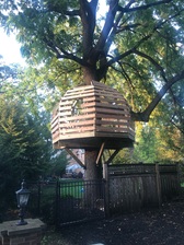 Logo for Hijinx Playgrounds LLC