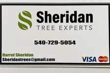 Logo for Sheridan Tree Experts