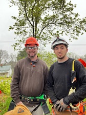 Andy Williams Tree Service and Land Clearing logo
