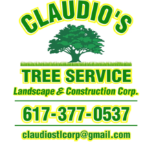 Avatar for Claudios Tree Service & Landscape Construction Corp.