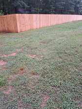 Avatar for Bentley Fencing and Remodeling
