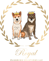 Royal plumbing solutions llc logo