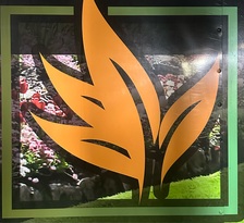 Logo for TLC Quality Lawncare