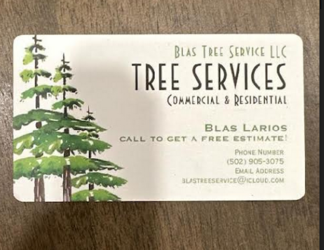 Blas Tree Service logo