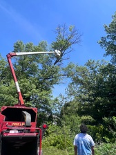 Logo for Zavala & Brothers Tree Service, Inc.