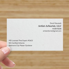 Avatar for David Neustadt Artist-Arborist, LLC