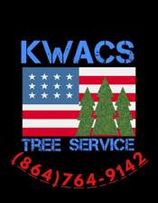 Logo for Kid With a Chainsaw