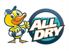 Logo for All Dry Services of Richmond