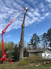 Logo for Schmelling Tree Service