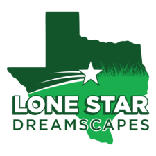 Avatar for Lone Star Dreamscapes