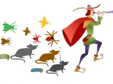 Avatar for PRACTICAL PEST SOLUTIONS