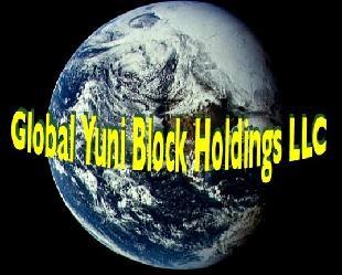 Global Yuni Block Holdings, LLC logo